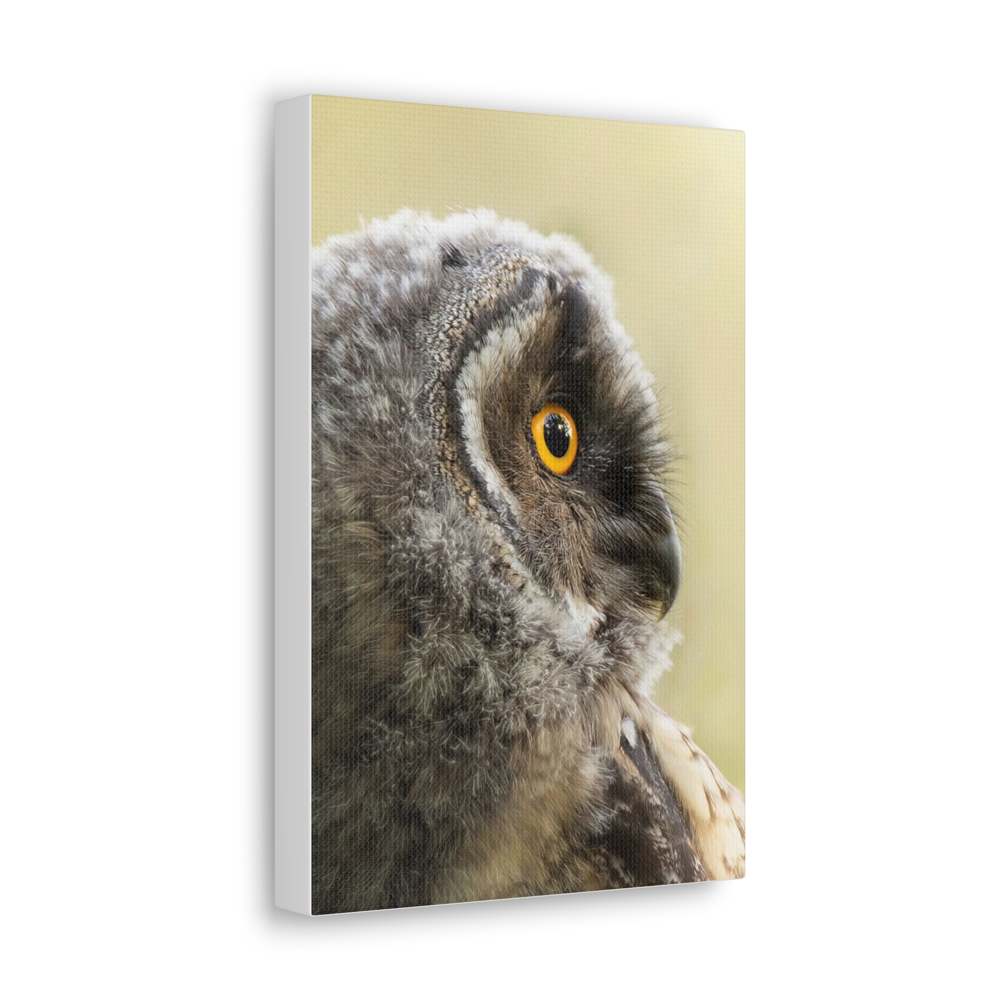 Viisas katse – Pöllöaiheinen canvas-taulu - Image 2